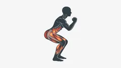 What happens to your body when you do squats every day