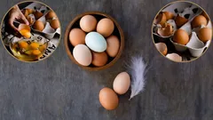 Eggs for the Year Ahead: A Simple, Cost-Effective Storage Method