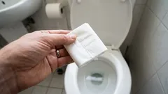 One Mistake That Showed What Should Never Be Flushed Down the Toilet